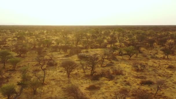 Excellent Aerial Safari Jeep Traveling Plains Africa Erindi Game Preserve — Stock Video