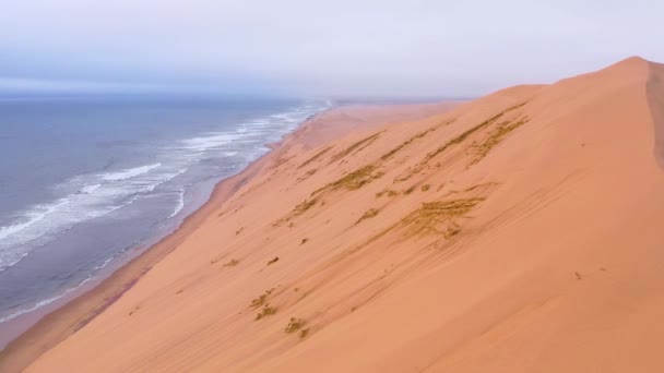 Étonnante Prise Vue Aérienne Sur Les Vastes Dunes Sable Désert — Video