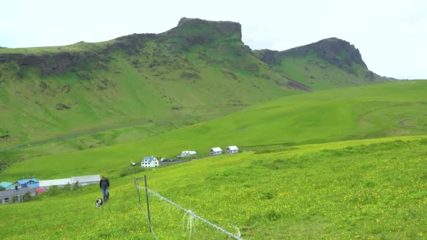 Uma Mulher Agricultora Seu Cão Caminham Campos Verdes Islândia — Vídeo de Stock