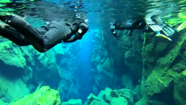 Podvodní Potápění Šnorchlování Záběry Střední Atlantik Hřeben Trhliny Thingvellir Island — Stock video