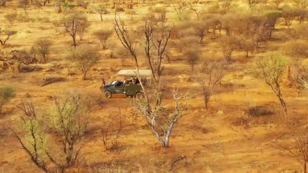 Чудова Повітряна Подушка Джипу Сафарі Подорожує Рівнинах Африки Заповіднику Ерінді — стокове відео