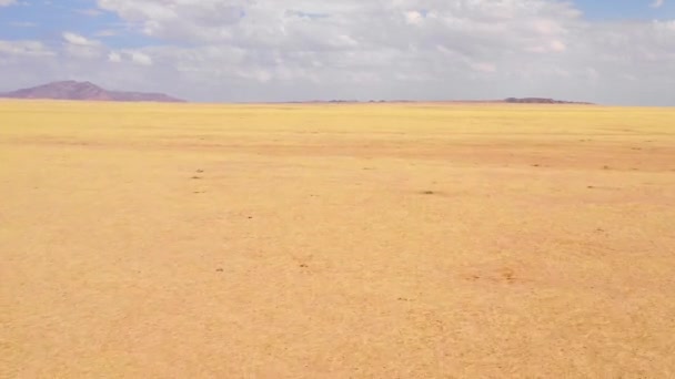Szybko Poruszająca Się Antena Nad Rozległymi Pastwiskami Krzewami Sawannami Namibii — Wideo stockowe