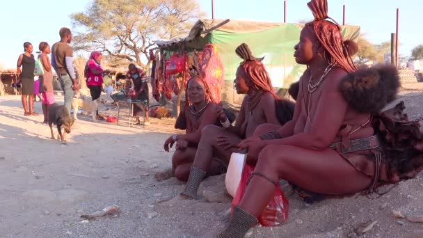 Drei Himba Stammesfrauen Sitzen Straßenrand Der Marktstadt Opuwo Namibia Mit — Stockvideo