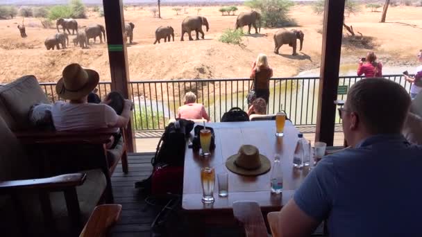 Touristen Fotografieren Elefanten Beim Baden Einem Wasserloch Von Einem Hotelbalkon — Stockvideo