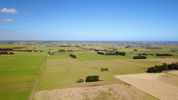 Repülőgép Drón Lövés Zöld Mezők Mezőgazdaság Közelében Illowa Victoria Ausztrália — Stock videók