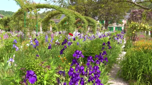 Virágok Nőnek Kertben Claude Monet Giverny Franciaország — Stock videók