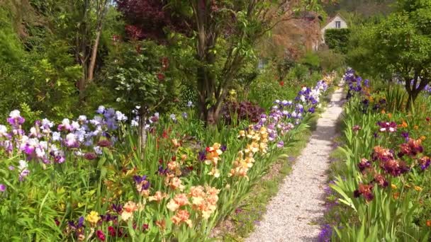 Blumen Wachsen Garten Von Claude Monet Giverny Frankreich — Stockvideo