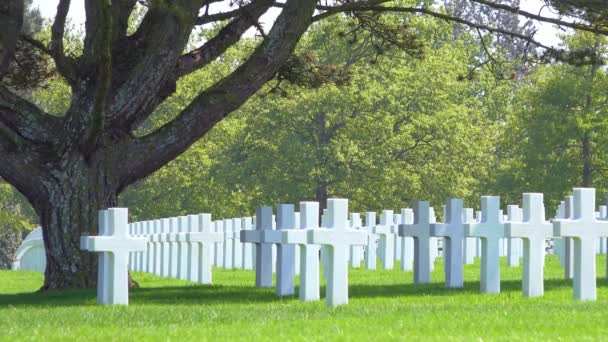 Túmulos Cruzes Memorial Segundo Cemitério Segunda Guerra Mundial Omaha Beach — Vídeo de Stock