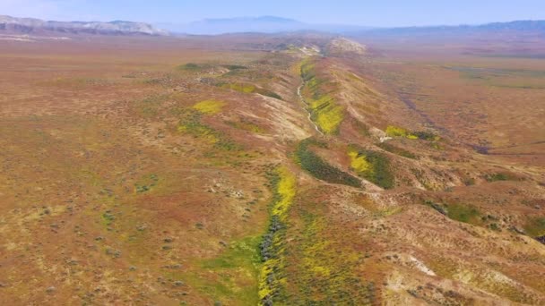 カリフォルニア州のカリゾ平原を通って走るサンアンドレアス断層地震断層線の非常に良い空中 — ストック動画