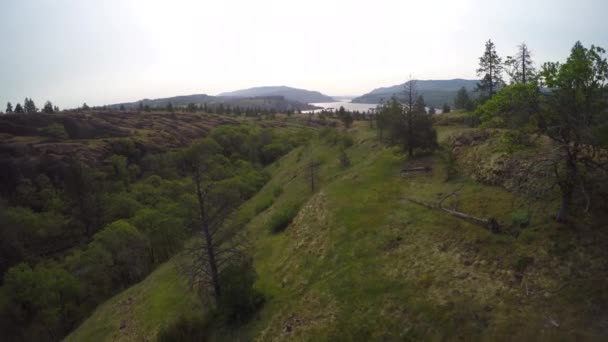 Eine Luftaufnahme Der Sanften Hügel Des Pazifischen Nordwestens — Stockvideo