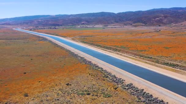 Aerial California Aqueduct Surrounded Fields Wildflowers Poppy Flowers Mojave Desert — Stock Video
