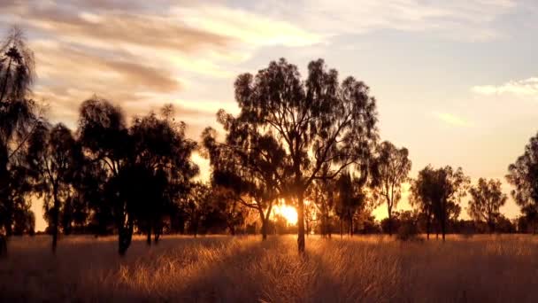 Piękny Zachód Słońca Lub Wschód Słońca Australijskim Krzaku Lub Pustkowiu — Wideo stockowe