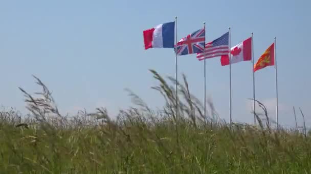 フランス イギリス アメリカ カナダ ノルマンディーの旗が第二次世界大戦の上陸地点を飛び越える — ストック動画