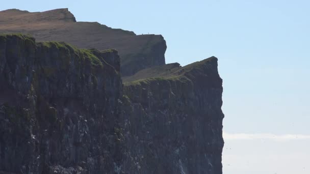 Bird Cliffs Latrabjarg Iceland Birdwatching Delight Hikers Exploring — Stock Video