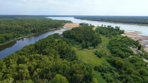 Mississippi Nehri Nin Greenville Mississippi Yakınlarındaki Issız Bir Doğal Alan — Stok video