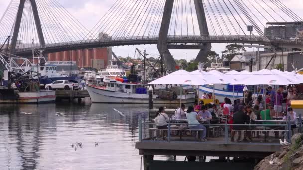 오스트레일리아 시드니 마리나의 식당에서 식사를 사람들 — 비디오