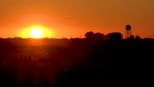 Tramonto Sui Campi Cotone Nella Piccola Città Meridionale Del Mississippi — Video Stock