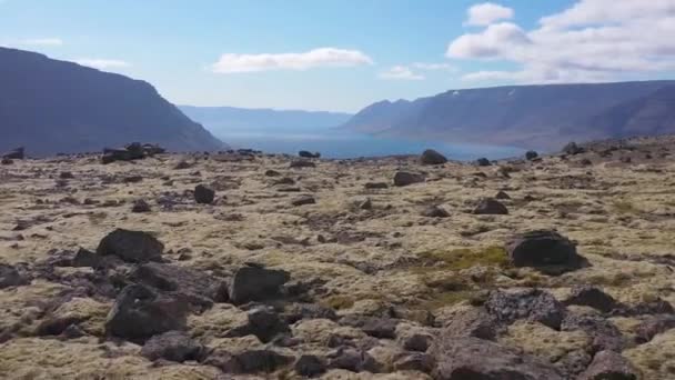 Flygfoto Grov Vulkaniska Landskap Avslöjar Fjord Westfjordarna Island — Stockvideo