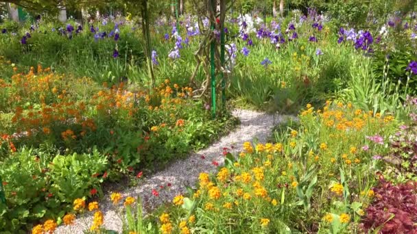 Flowers Grow Garden Claude Monet Giverny France — Stock Video