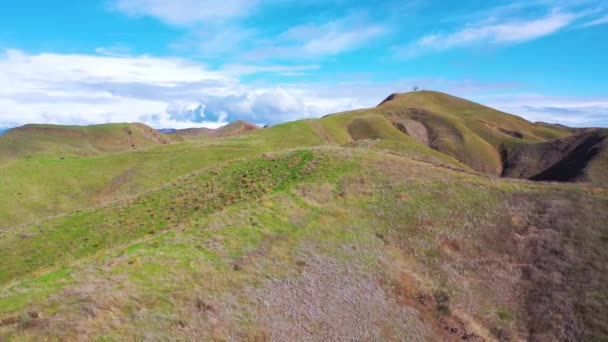 2020 Aérien Dessus Des Collines Verdoyantes Des Montagnes Côtières Pacifique — Video