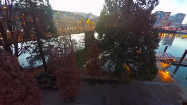 Majestic Rising Shot Pine Trees Reveals City Skyline Portland Oregon — Stock Video