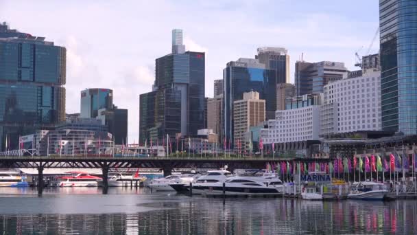 Establecimiento Plano Del Puerto Deportivo Sydney Harbor Torres Edificios Oficinas — Vídeos de Stock