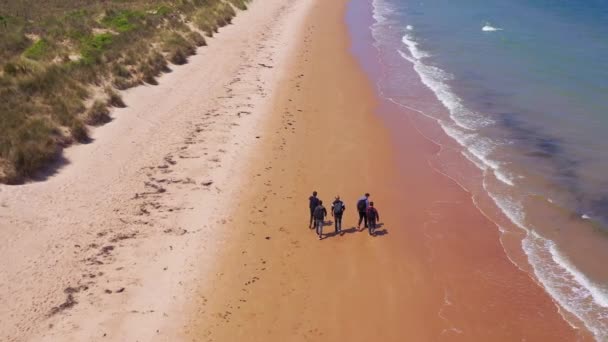 Buona Antenna Sulla Spiaggia Omaha Normandia Francia Luogo Della Seconda — Video Stock