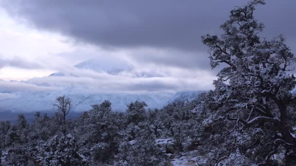 Tidsförlopp Skott Snötäckta Träd Och Landskap Sierra Nevada Bergen Sierras — Stockvideo