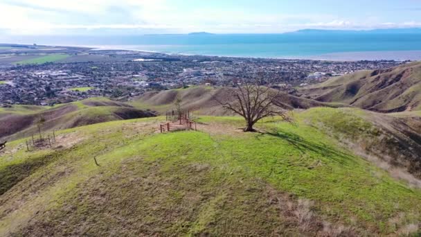 2020年 飞越太平洋沿岸绿山和加利福尼亚文图拉后面的山脉 包括两棵树的地标 — 图库视频影像