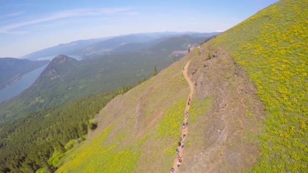 Egy Gyönyörű Légi Kilátás Mentén Túraútvonal Csendes Óceán Északnyugati Columbia — Stock videók