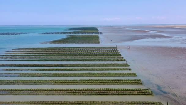 Aerial French Mussel Farm Utah Beach Normandia França — Vídeo de Stock