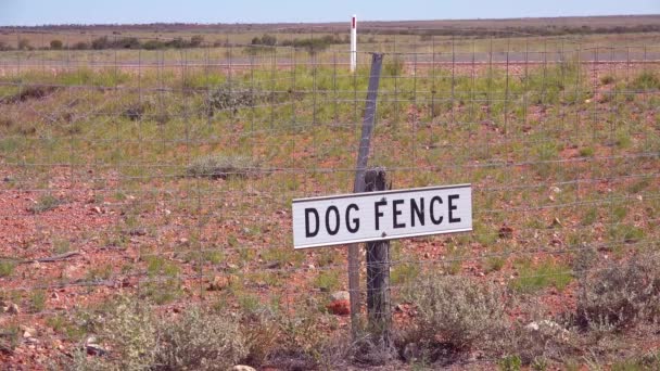 犬の柵は オーストラリアのアウトバックのクーバー ペディ近くの農地から野生の犬を保持します — ストック動画