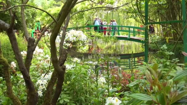 Los Turistas Reúnen Puente Japonés Jardín Claude Monet Giverny Francia — Vídeos de Stock