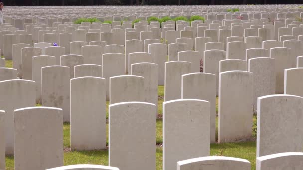 Une Femme Vêtue Manteau Blanc Regarde Les Pierres Tombales Cimetière — Video