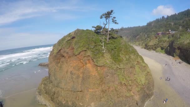 Una Imagen Aérea Que Eleva Sobre Una Hermosa Playa Oregon — Vídeo de stock