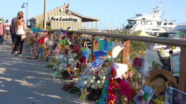 2019年 在圣巴巴拉港举行的 构想号 潜水船火灾遇难者追悼会上 人们向遇难者致敬 — 图库视频影像