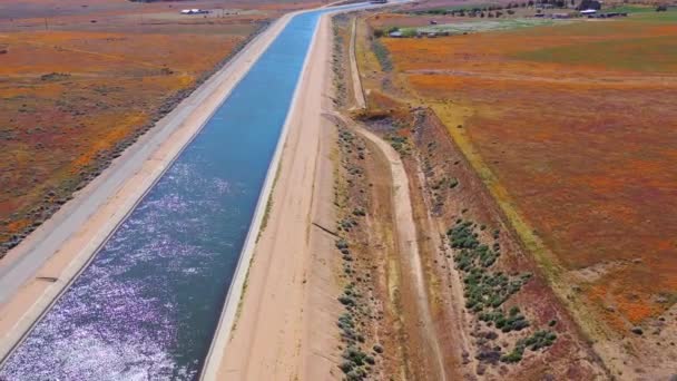 Aérien Aqueduc Californie Entouré Champs Fleurs Sauvages Fleurs Pavot Désert — Video