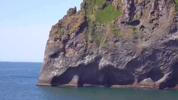 在冰岛的威斯曼群岛上 熔岩流看起来像一头大象 它的树干在海里喝水 — 图库视频影像