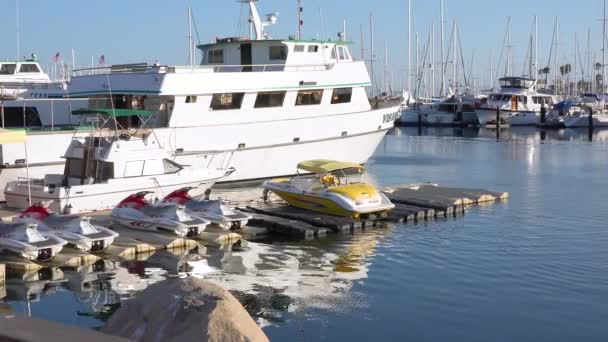 2019 Vision Barco Semelhante Barco Mergulho Conception Propriedade Truth Aquatics — Vídeo de Stock