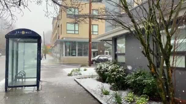 Nieve Pesada Invierno Cae Barrio Tradicional Estadounidense Negocios Portland Oregon — Vídeos de Stock