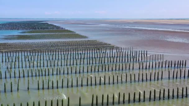 Aerial French Mussel Farm Utah Beach Normandia França — Vídeo de Stock