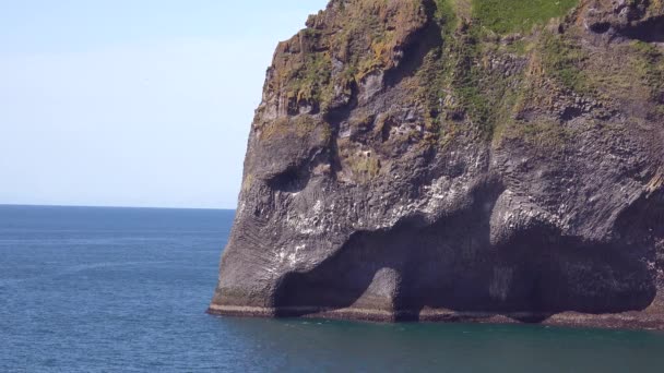 在冰岛的威斯曼群岛上 熔岩流看起来像一头大象 它的树干在海里喝水 — 图库视频影像