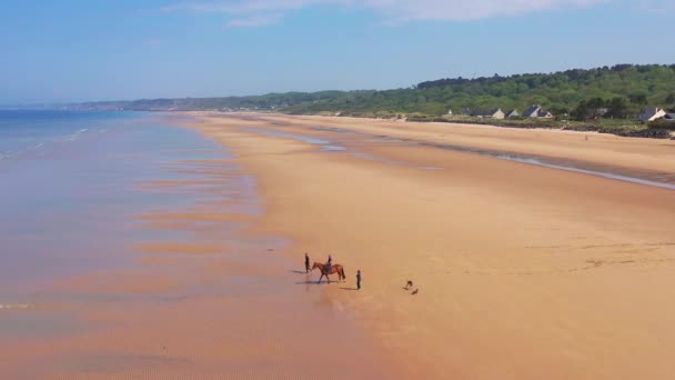 Aéreo Sobre Cães Correndo Cavalo Cavaleiro Omaha Beach Normandia França — Vídeo de Stock