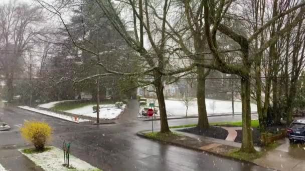 Neve Inverno Pesada Cai Bairro Americano Tradicional Portland Oregon — Vídeo de Stock