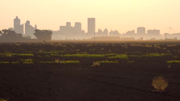 Good Early Morning Silhouette Downtown City Center Business District Memphis — Stock Video