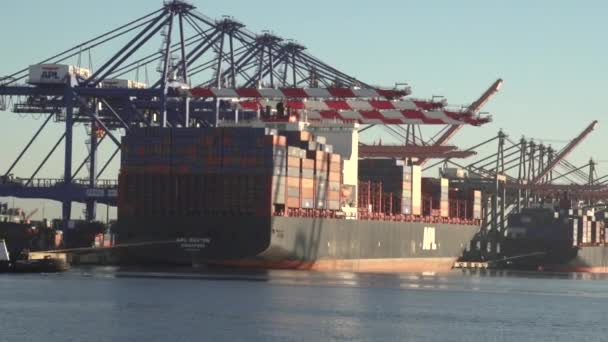 Unschärfe Der Aufnahme Als Waren Einem Containerschiff Hafen Von Los — Stockvideo