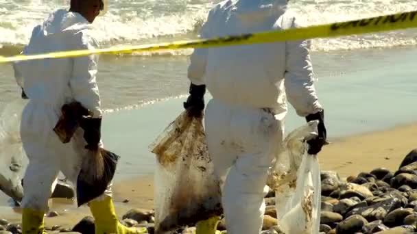 2015 Workers Clean Massive Beach Cleanup Effort Refugio Oil Spill — Stock Video