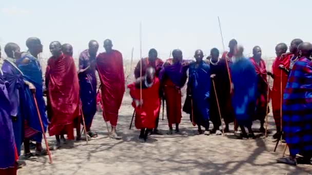 Kenya Circa 2009 Masai Krijgers Voeren Een Rituele Dans Uit Stockvideo