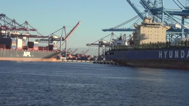 Goederen Worden Gestapeld Een Containerschip Haven Van Los Angeles — Stockvideo