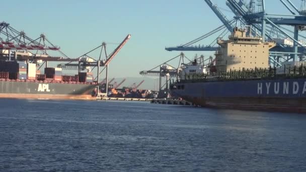 Varor Staplas Ett Containerfartyg Los Angeles Hamn — Stockvideo